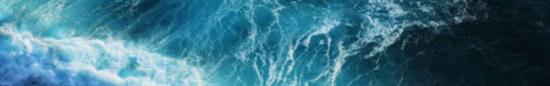 銷售網(wǎng)絡(luò)